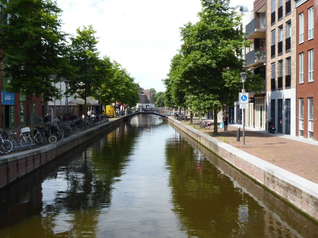 Rustige gracht met bomen