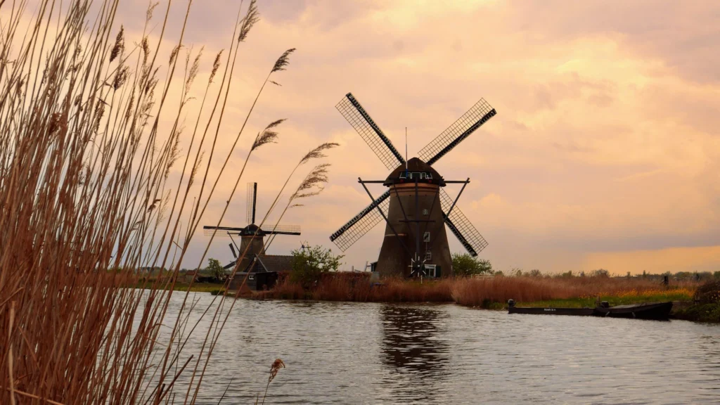Molen in het riet bij zonsondergang